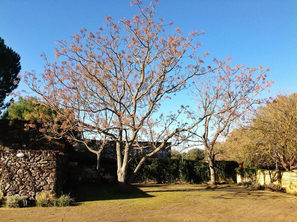 Tenuta Sant'Andrea Giuggianello Екстериор снимка