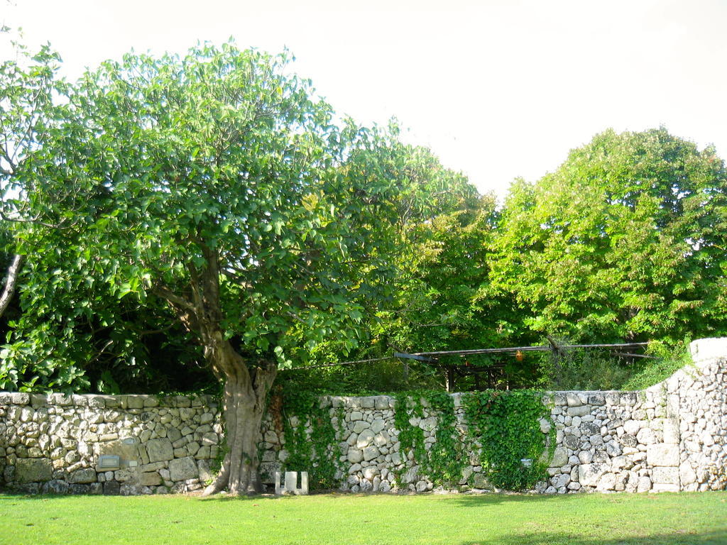 Tenuta Sant'Andrea Giuggianello Екстериор снимка